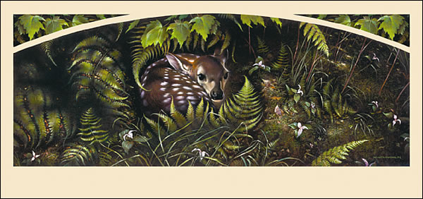 <b><i>The Nursery</i></b>